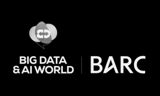Big Data & AI World